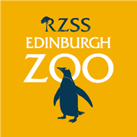 Rzss Ez Logo Colour Web