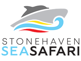 Stonehavenseasafari
